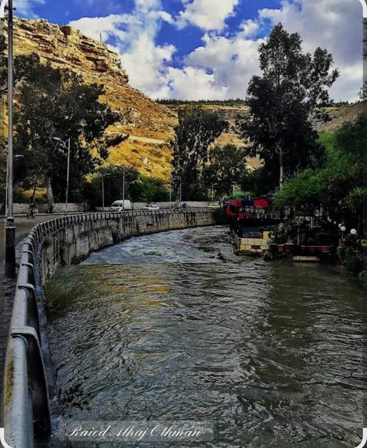 نهر بردى والربوة.. حكاية عشق أزلية بين الماء والتاريخ الدمشقي